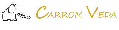logo www.carrom-veda.fr